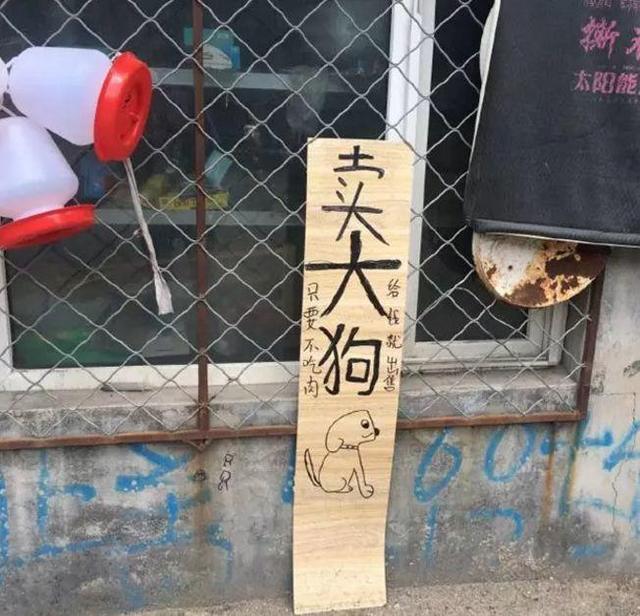 中國(guó)街道廣告牌燈箱有多野？看看這些讓人笑掉大牙的牌子名20